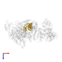 RNA-DNA primer in PDB entry 8v6i, assembly 1, top view.