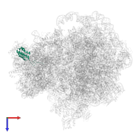 Small ribosomal subunit protein uS9 in PDB entry 8v9j, assembly 1, top view.