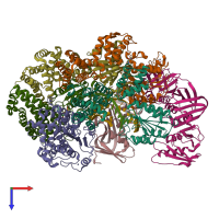 PDB entry 8vat coloured by chain, top view.