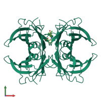 Homo tetrameric assembly 1 of PDB entry 8ve5 coloured by chemically distinct molecules, front view.