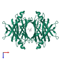 Transthyretin in PDB entry 8ve5, assembly 1, top view.