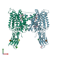 PDB entry 8vli coloured by chain, front view.