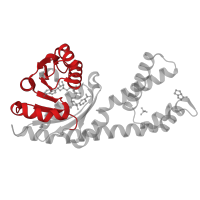 The deposited structure of PDB entry 8vre contains 5 copies of Pfam domain PF03807 (NADP oxidoreductase coenzyme F420-dependent) in Pyrroline-5-carboxylate reductase 1, mitochondrial. Showing 1 copy in chain A.