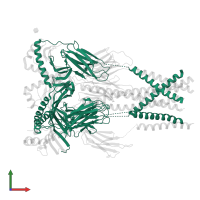 HLA class II histocompatibility antigen, DQ alpha 1 chain in PDB entry 8vsp, assembly 1, front view.