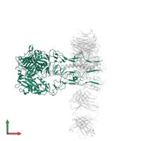 Hemagglutinin in PDB entry 8vue, assembly 1, front view.