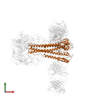 Hemagglutinin HA2 chain in PDB entry 8vue, assembly 1, front view.