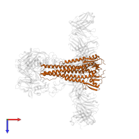 Hemagglutinin HA2 chain in PDB entry 8vue, assembly 1, top view.