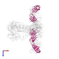 L5A7 Fab Light Chain in PDB entry 8vue, assembly 1, top view.