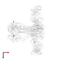 2-acetamido-2-deoxy-beta-D-glucopyranose in PDB entry 8vue, assembly 1, top view.