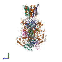 Hetero octameric assembly 1 of PDB entry 8vuh coloured by chemically distinct molecules, side view.