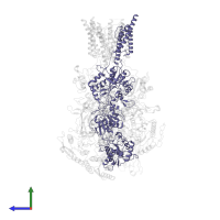 Glutamate receptor ionotropic, NMDA 1 in PDB entry 8vuh, assembly 1, side view.