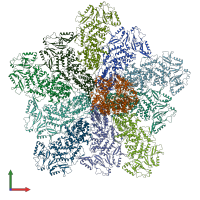 PDB entry 8w1s coloured by chain, front view.