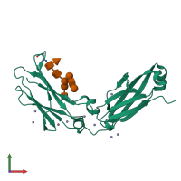 PDB entry 8w4m coloured by chain, front view.