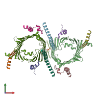 PDB entry 8w5k coloured by chain, front view.