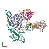 PDB entry 8w9c coloured by chain, front view.