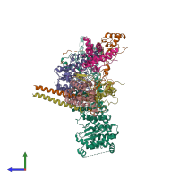 PDB entry 8w9c coloured by chain, side view.