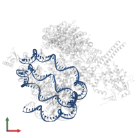 3-DNA in PDB entry 8w9d, assembly 1, front view.