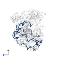 3-DNA in PDB entry 8w9d, assembly 1, side view.