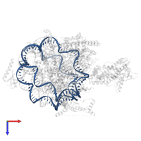 3-DNA in PDB entry 8w9d, assembly 1, top view.