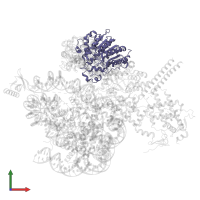 Histone deacetylase RPD3 in PDB entry 8w9d, assembly 1, front view.