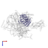 Histone deacetylase RPD3 in PDB entry 8w9d, assembly 1, top view.
