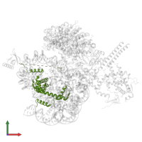 Histone H3.1 in PDB entry 8w9d, assembly 1, front view.