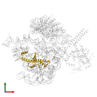 Histone H4 in PDB entry 8w9d, assembly 1, front view.