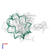 5-DNA in PDB entry 8w9d, assembly 1, top view.