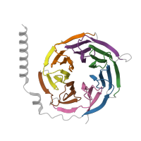 The deposited structure of PDB entry 8wa3 contains 7 copies of Pfam domain PF00400 (WD domain, G-beta repeat) in Guanine nucleotide-binding protein G(I)/G(S)/G(T) subunit beta-1. Showing 7 copies in chain C [auth B].