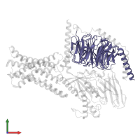 Guanine nucleotide-binding protein G(I)/G(S)/G(T) subunit beta-1 in PDB entry 8wa3, assembly 1, front view.