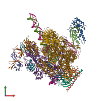 PDB entry 8wb0 coloured by chain, front view.