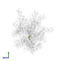 [[(2~{S},3~{R},4~{S},5~{R})-5-(2-azanyl-6-oxidanylidene-3~{H}-purin-9-yl)-3-methoxy-4-oxidanyl-oxolan-2-yl]methoxy-oxidanyl-phosphoryl] phosphono hydrogen phosphate in PDB entry 8wb0, assembly 1, side view.