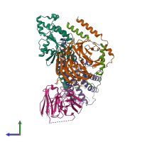 Hetero pentameric assembly 1 of PDB entry 8wc4 coloured by chemically distinct molecules, side view.