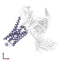 Trace amine-associated receptor 1 in PDB entry 8wc4, assembly 1, front view.