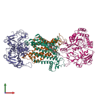 PDB entry 8wd9 coloured by chain, front view.