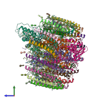 PDB entry 8wdv coloured by chain, side view.