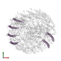 Antenna complex alpha/beta subunit domain-containing protein in PDB entry 8wdv, assembly 1, front view.
