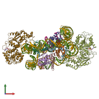 PDB entry 8wha coloured by chain, front view.