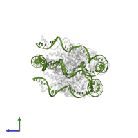 DNA (sense strand) in PDB entry 8wha, assembly 1, side view.