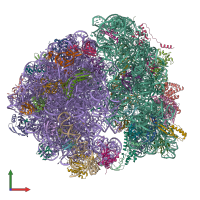 PDB entry 8wi7 coloured by chain, front view.