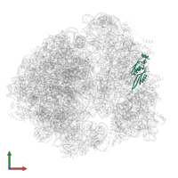 Small ribosomal subunit protein uS5 in PDB entry 8wi7, assembly 1, front view.