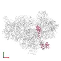 Sigma 54 modulation/S30EA ribosomal protein C-terminal domain-containing protein in PDB entry 8wi9, assembly 1, front view.