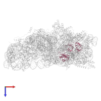 Sigma 54 modulation/S30EA ribosomal protein C-terminal domain-containing protein in PDB entry 8wi9, assembly 1, top view.