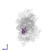 Small ribosomal subunit protein uS7 in PDB entry 8wi9, assembly 1, side view.