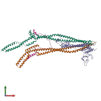 PDB entry 8wjo coloured by chain, front view.