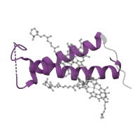 The deposited structure of PDB entry 8wm6 contains 1 copy of Pfam domain PF01241 (Photosystem I psaG / psaK) in Photosystem I reaction center subunit PsaK. Showing 1 copy in chain L [auth K].