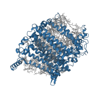The deposited structure of PDB entry 8wm6 contains 1 copy of Pfam domain PF00223 (Photosystem I psaA/psaB protein) in Photosystem I P700 chlorophyll a apoprotein A2. Showing 1 copy in chain B.