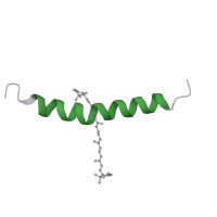 The deposited structure of PDB entry 8wm6 contains 1 copy of Pfam domain PF00796 (Photosystem I reaction centre subunit VIII) in Photosystem I reaction center subunit VIII. Showing 1 copy in chain G [auth I].