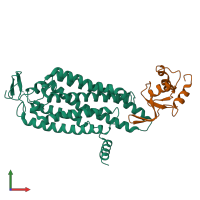 PDB entry 8wma coloured by chain, front view.