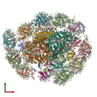 PDB entry 8wmw coloured by chain, front view.